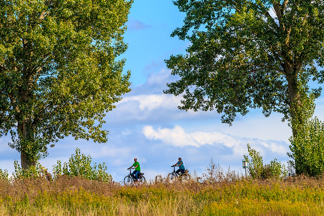 Fietsers 